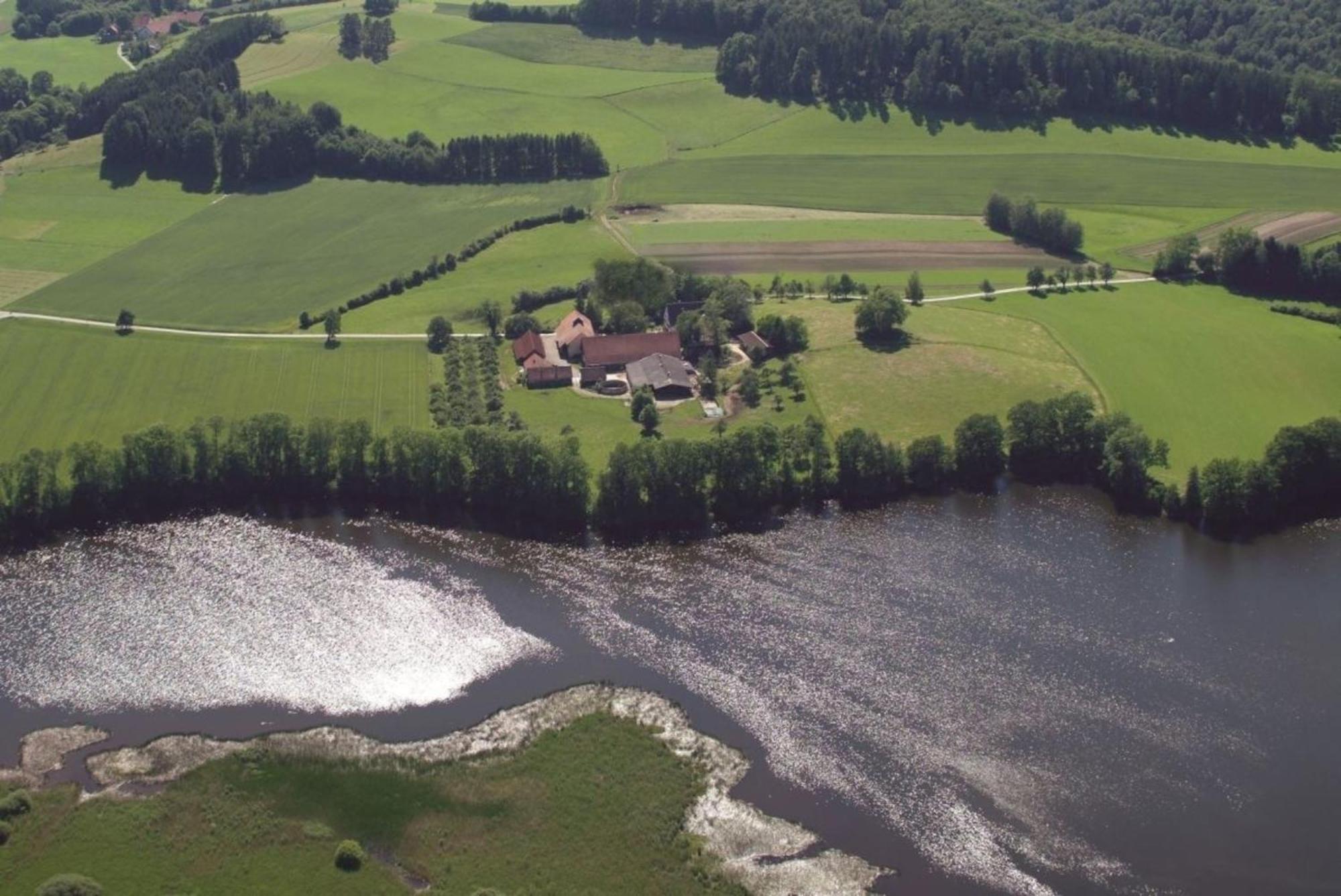 Roesslerhof Ferienwohnung Roesslerweiher Schlier Εξωτερικό φωτογραφία
